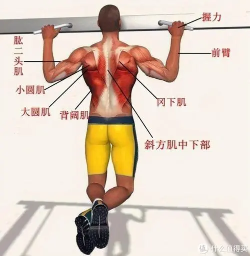 尊龙凯时人生就是博：电子二分频功率放大器：工作原理和应用领域简介